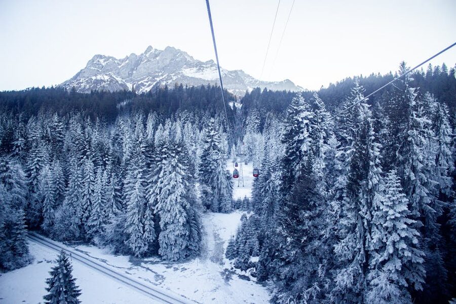 Snow-covered forests and Mount Pilatus winter