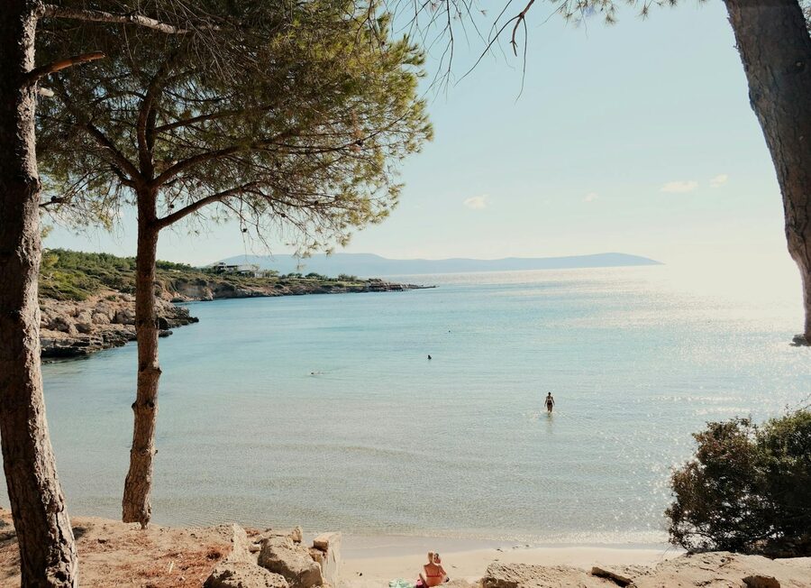 Beach with pine trees and clear waters on the Mediterranean coast