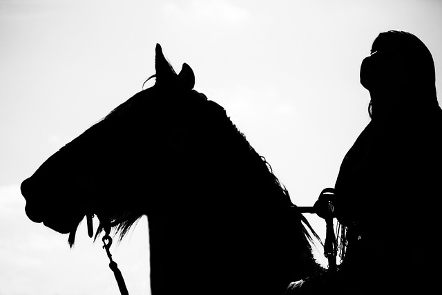 Horse performing at an equestrian show demonstration