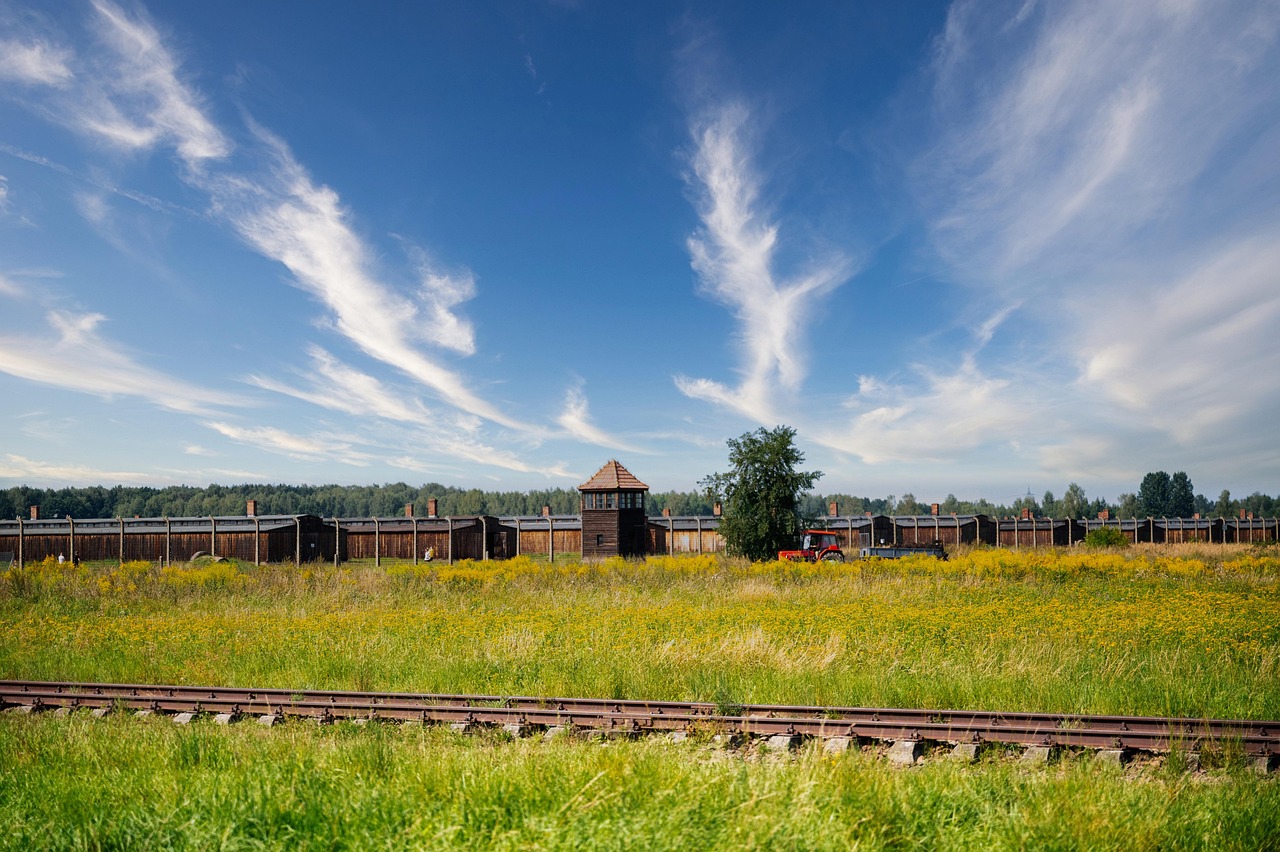 Wide view of Auschwitz-Birkenau camp grounds