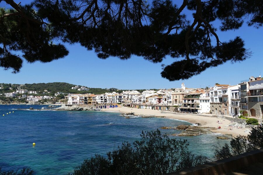 A quiet bay surrounded by pine-covered hills on the Costa Brava coastline