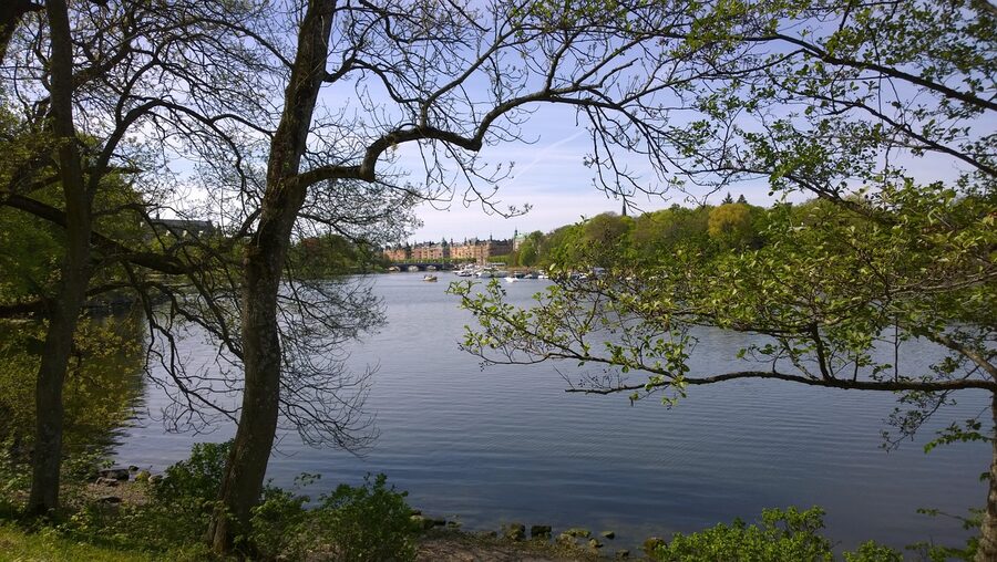 Djurgarden lake and trees Stockholm