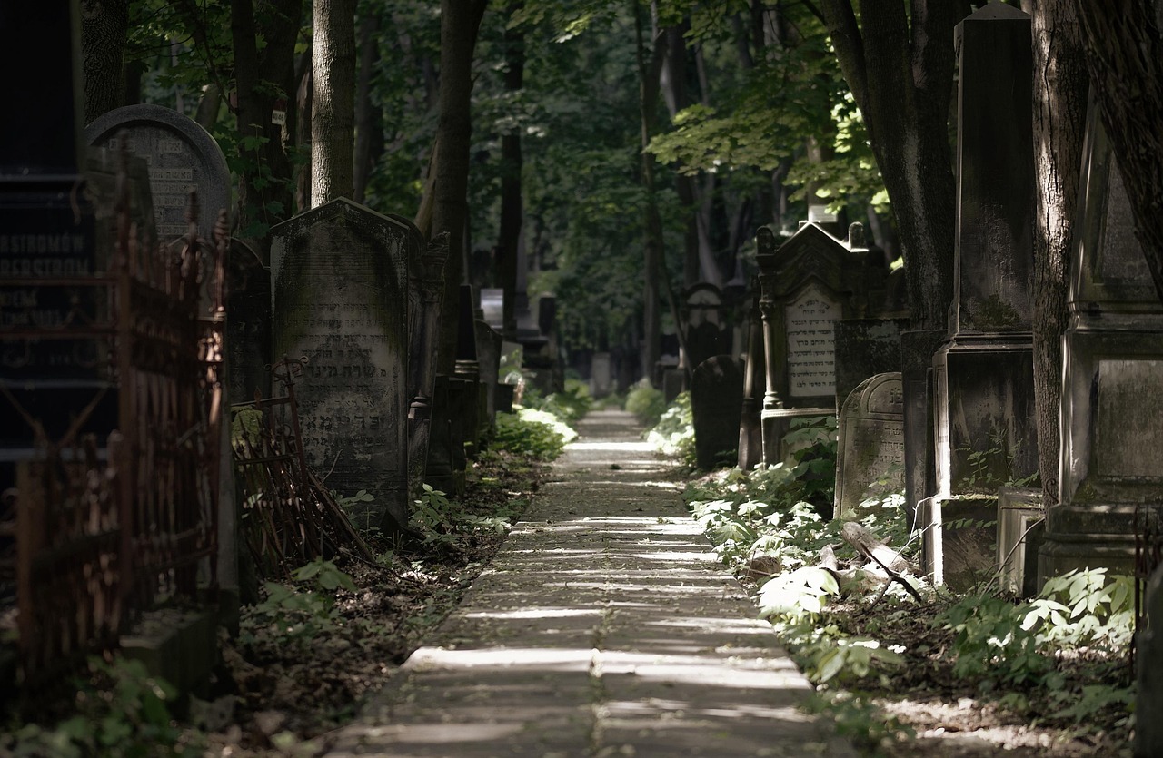 Moss-covered Jewish cemetery headstones beneath overhanging trees
