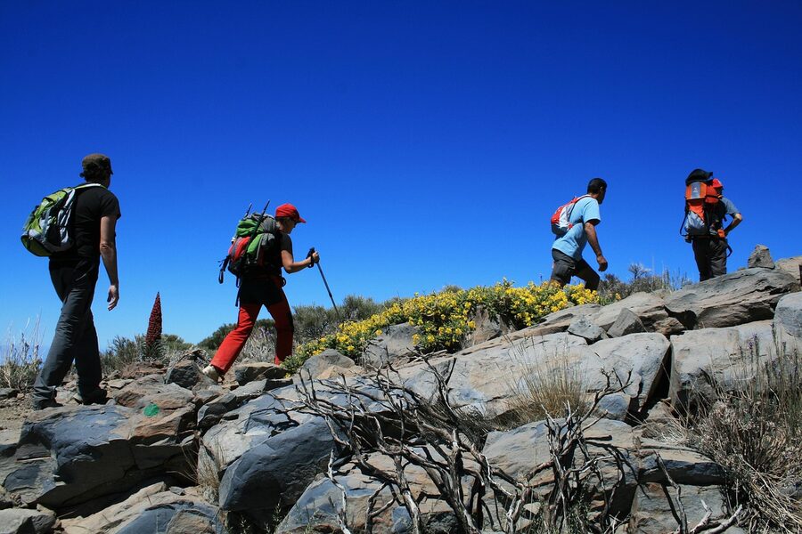 Hikers in Teide National Park with volcanic landscape
