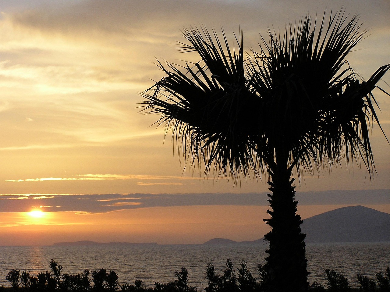 Sunset over the sea from Kos island with palm trees silhouetted