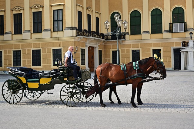 Horse-drawn Fiaker carriage near Schonbrunn Palace in Vienna