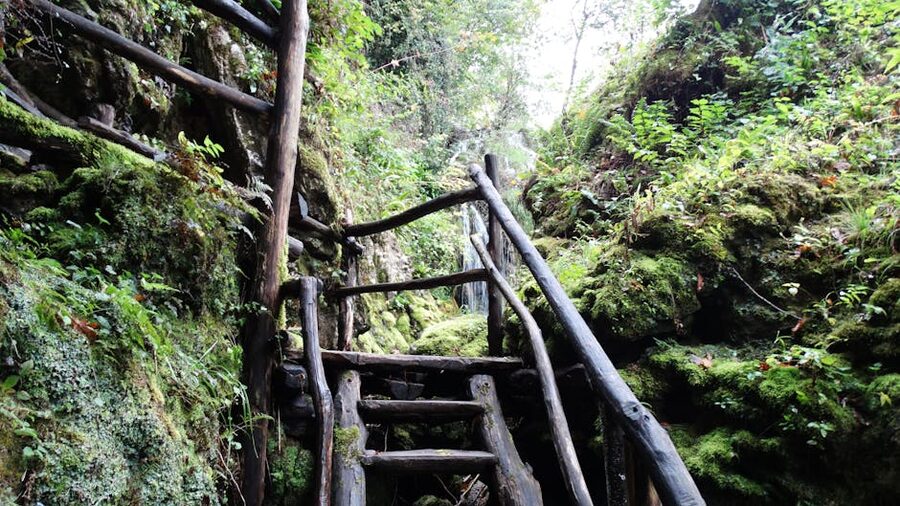 Rastoke rustic wooden stairs lush greenery