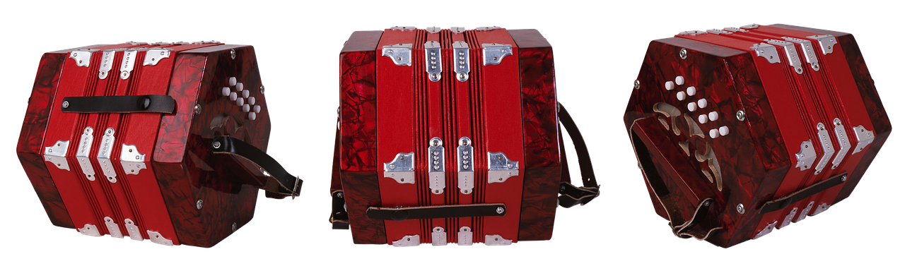 Accordion player live music close up