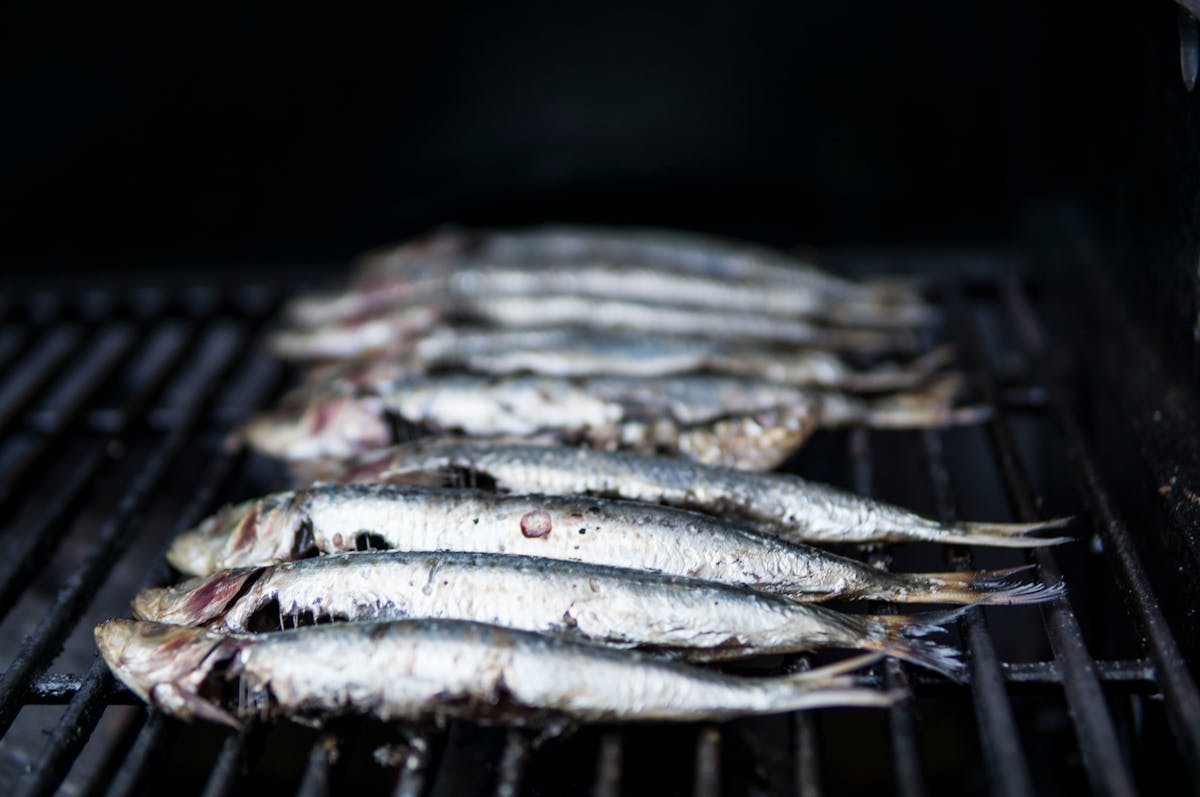 Fresh sardines being grilled over charcoal