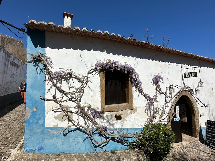 Charming bar in Obidos with wisteria vines on facade