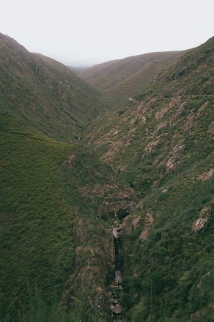 Lush green countryside of the Minho region in northern Portugal