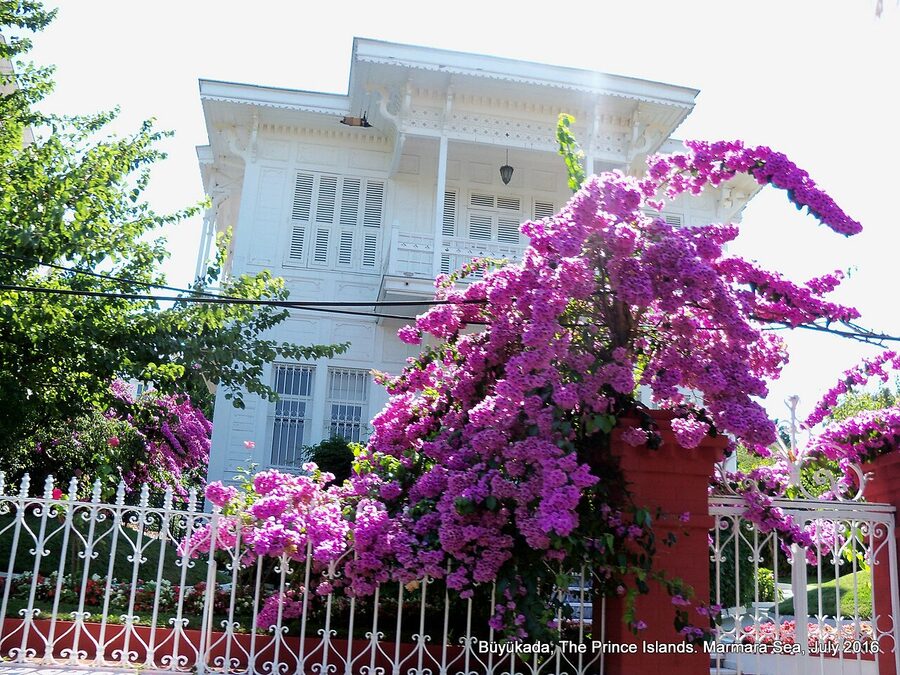 Büyükada wooden mansion 2016