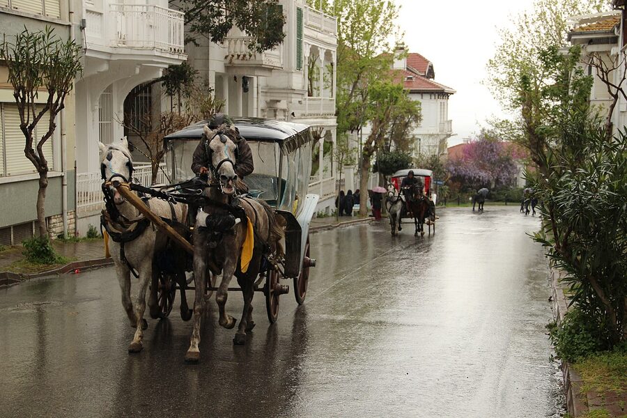 Historic horse-drawn phaeton on Büyükada 2015