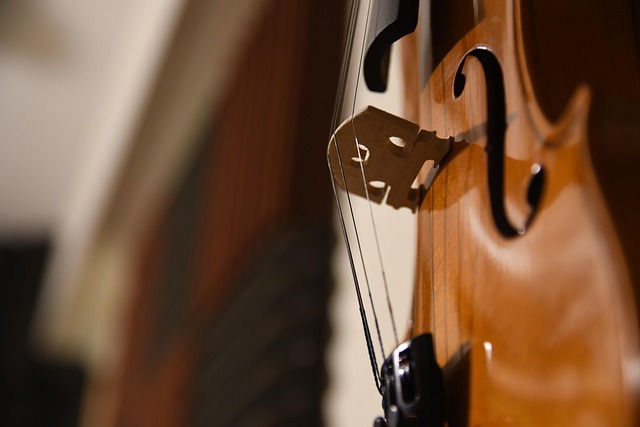 Violin, viola, and cello string instruments