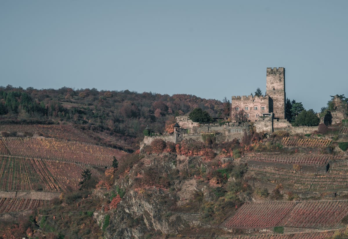 Historic Burg Gutenfels castle stands atop a hill overlooking autumn vineyards in the Rhine Valley