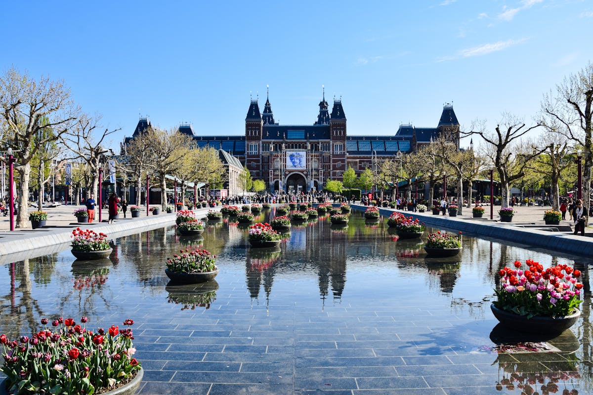 The Rijksmuseum with blooming flowers and reflecting pool on a sunny day