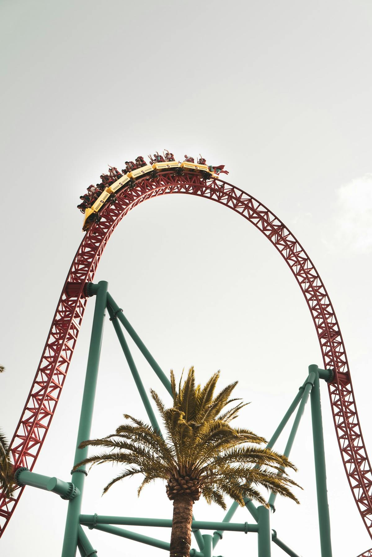 View of a tall roller coaster from below with palm trees