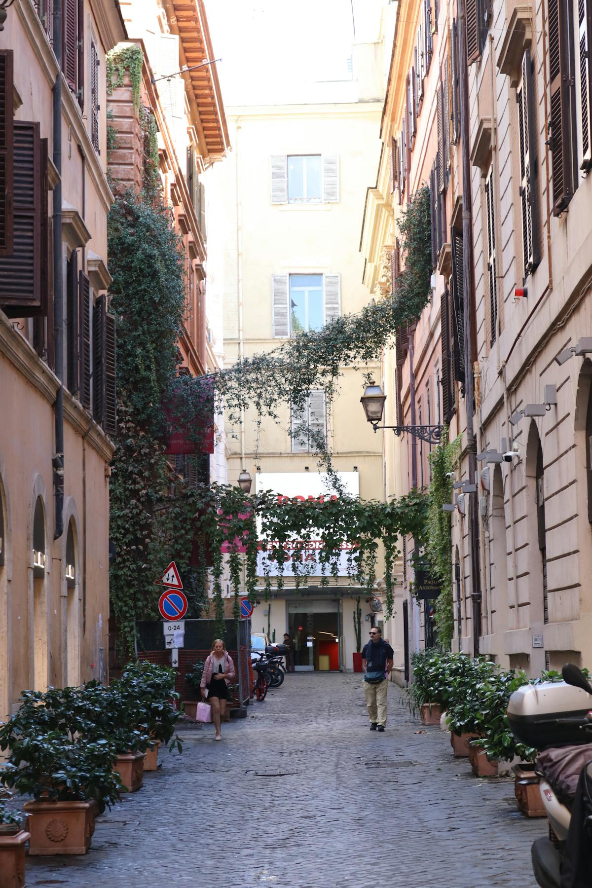 Ivy-covered alley with cobblestones in Rome