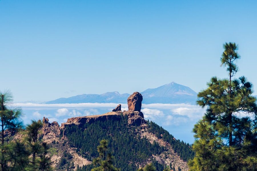 Roque Nublo monolith rising above lush Canarian pine forest in Gran Canaria