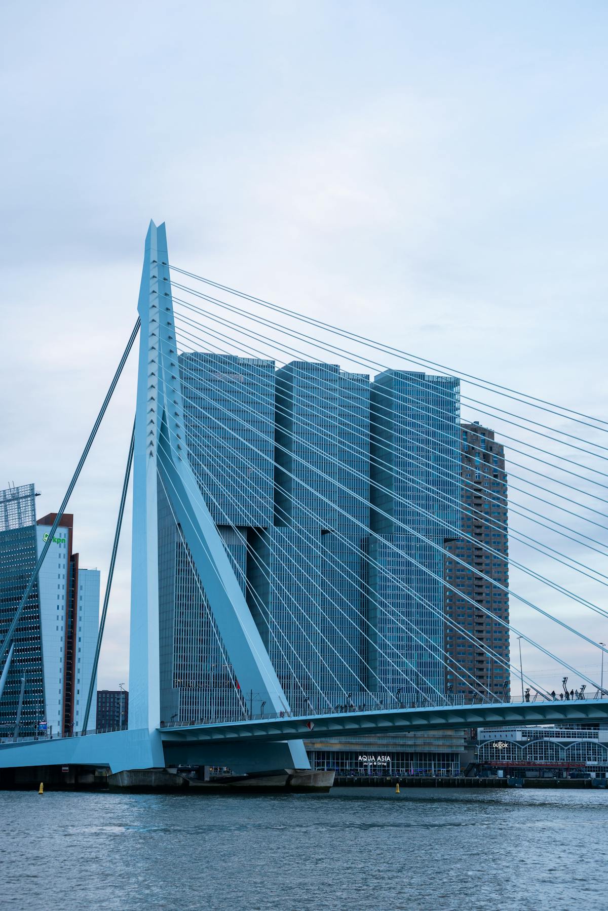 The Erasmus Bridge in Rotterdam at dusk with modern skyline behind