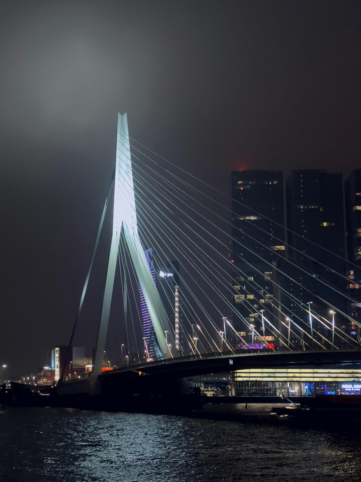 The Erasmus Bridge illuminated at night in Rotterdam