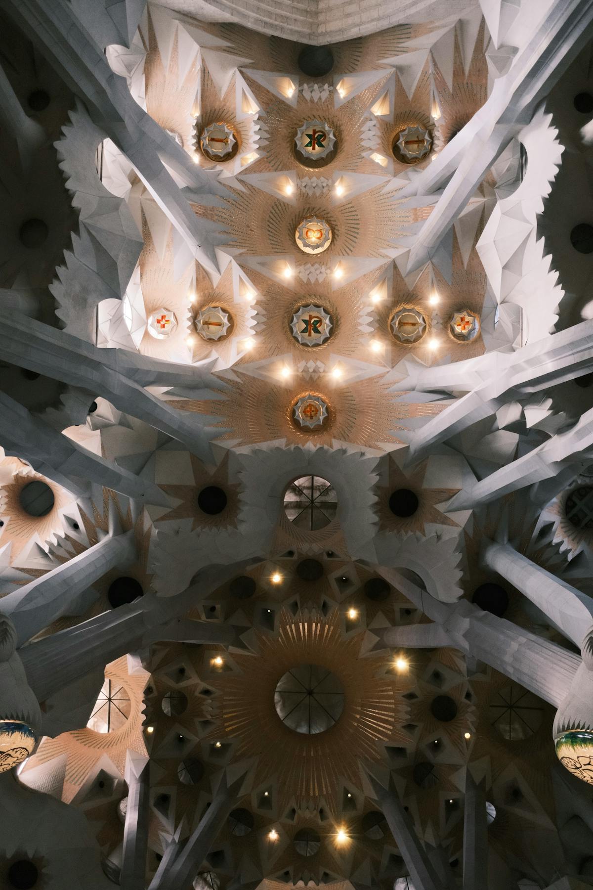 Looking straight up at the ornate ceiling of Sagrada Familia where columns branch into geometric patterns