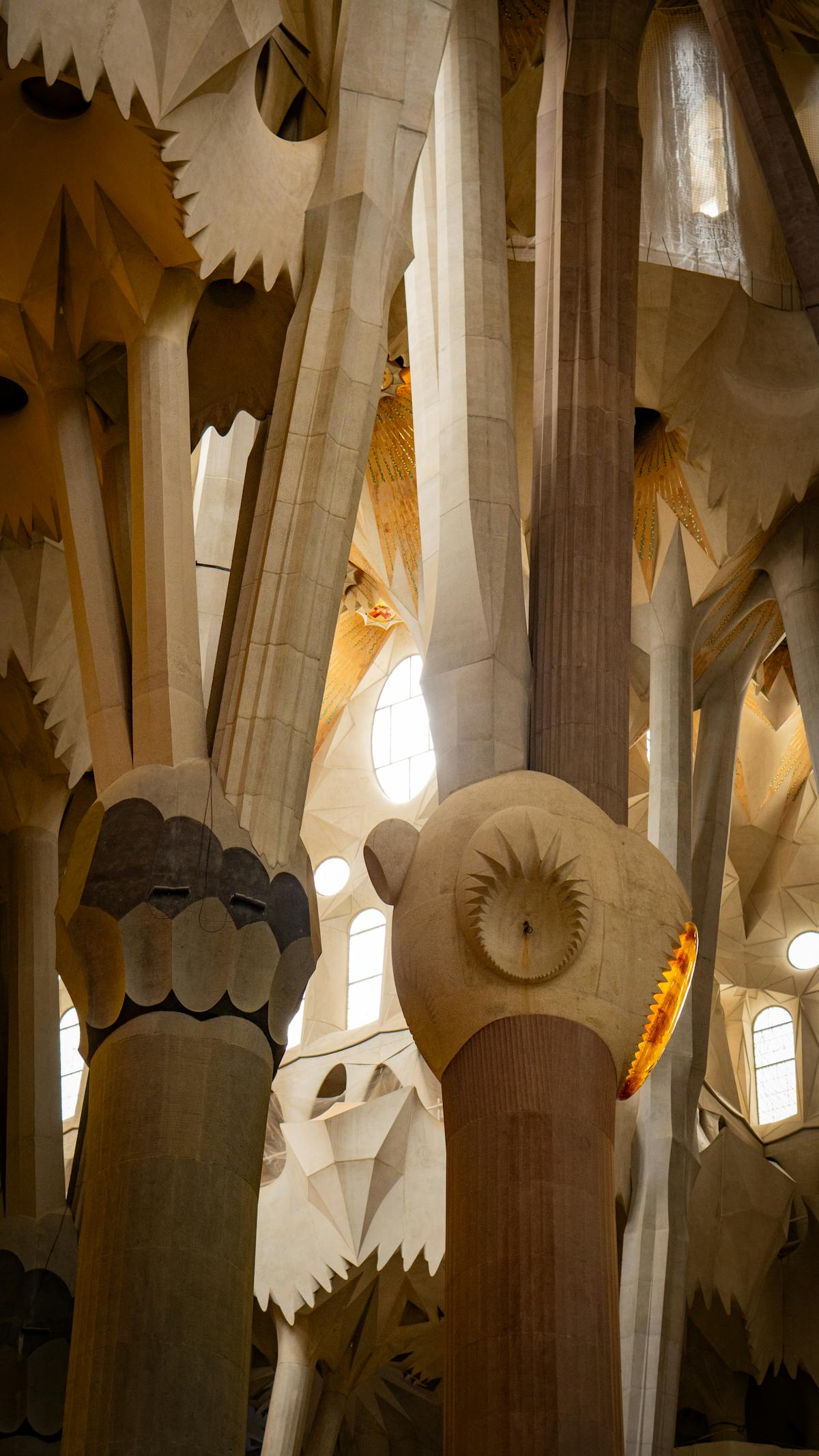 Tree-like stone columns branching toward the ceiling inside Sagrada Familia