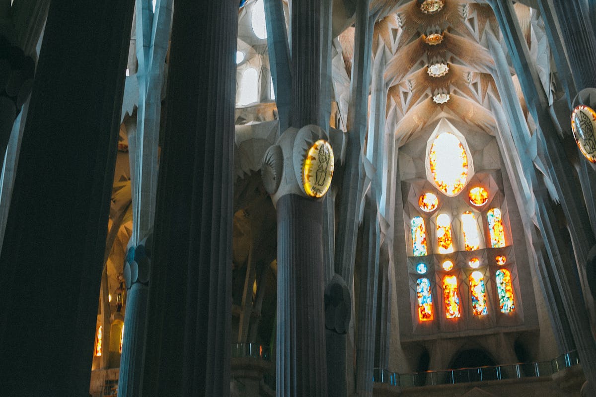 Looking up at towering columns inside Sagrada Familia that branch like stone trees toward the ceiling