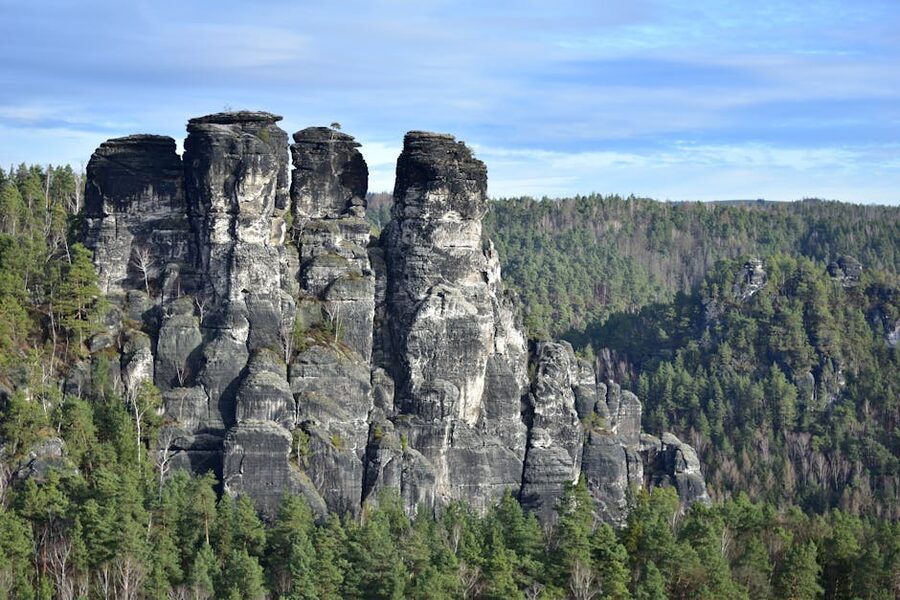 Saxon Switzerland rocky cliffs and forest