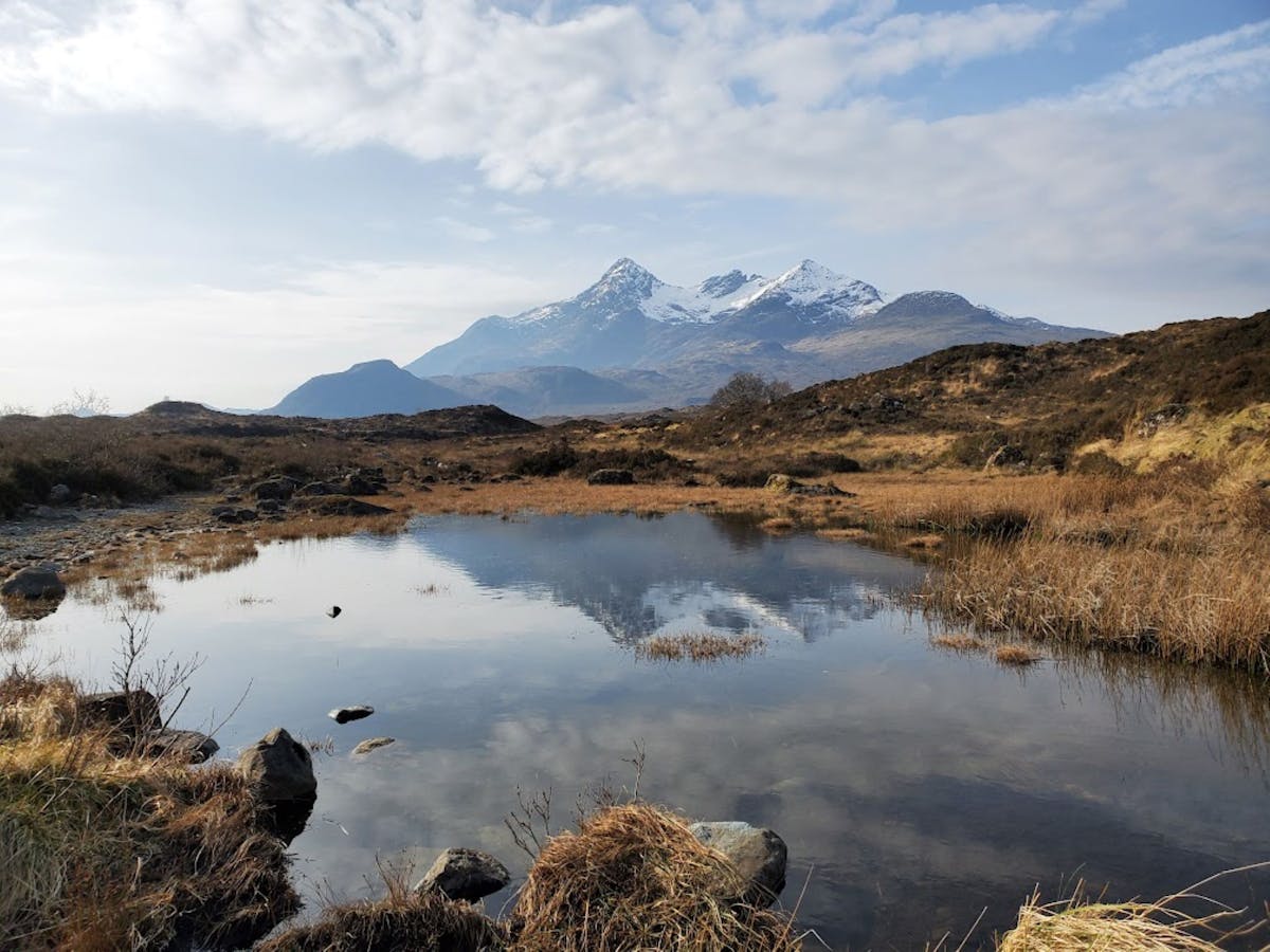 A Scottish loch with blooming gorse bushes and dramatic clouds overhead