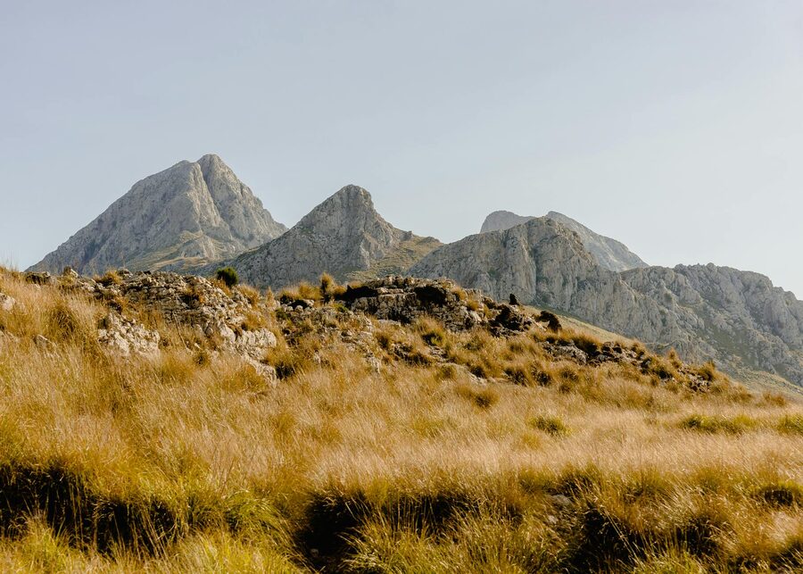 Serra de Tramuntana mountain peaks rising above green slopes in Mallorca