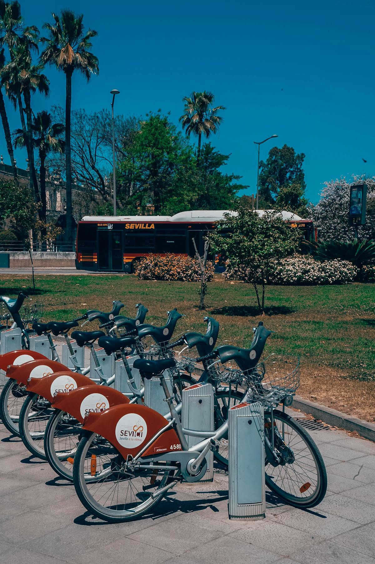 Bicycles lined up for rent in a sunny Seville park with trees and a city bus in the background