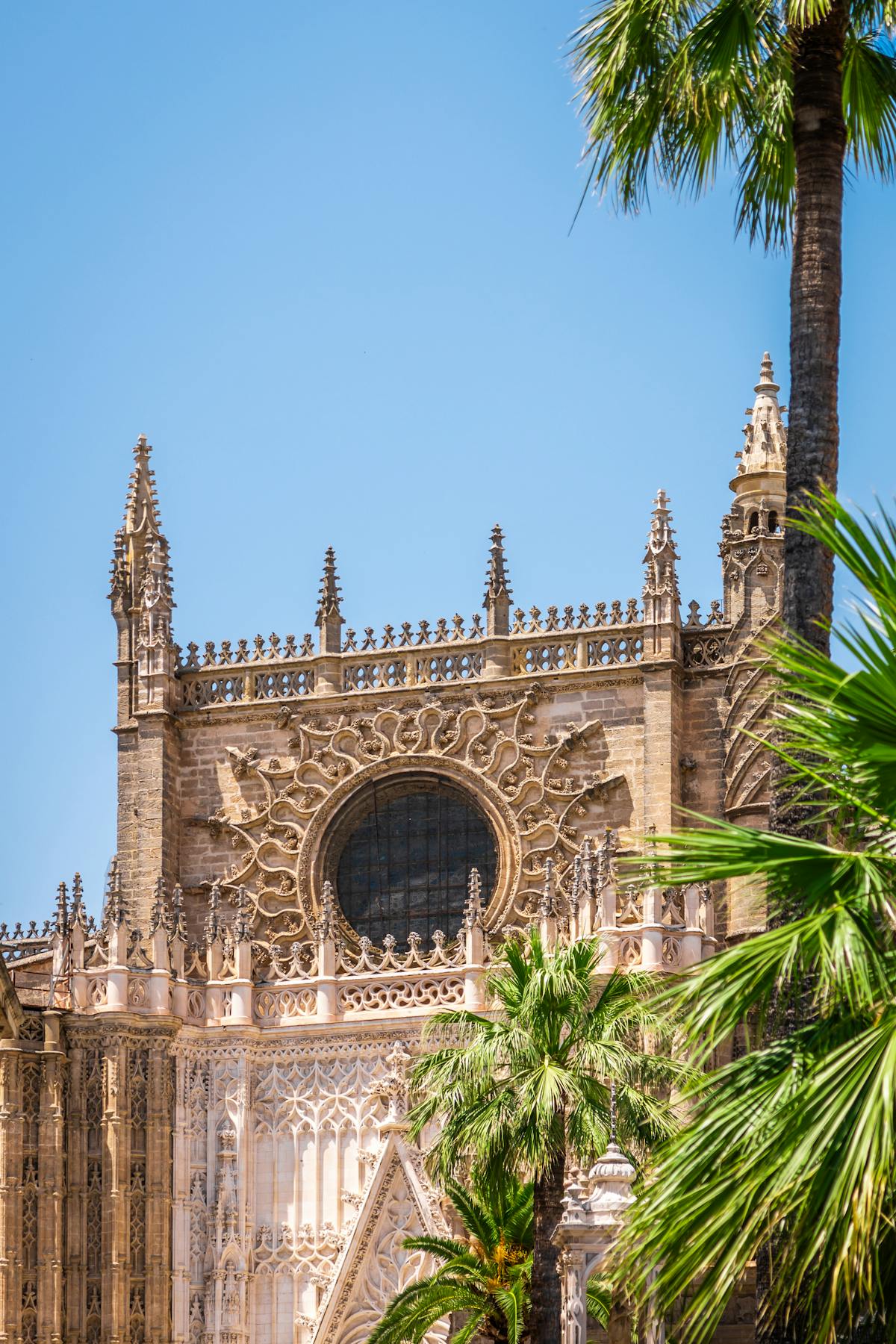 Stone arches and columns inside the Seville Cathedral with dramatic lighting