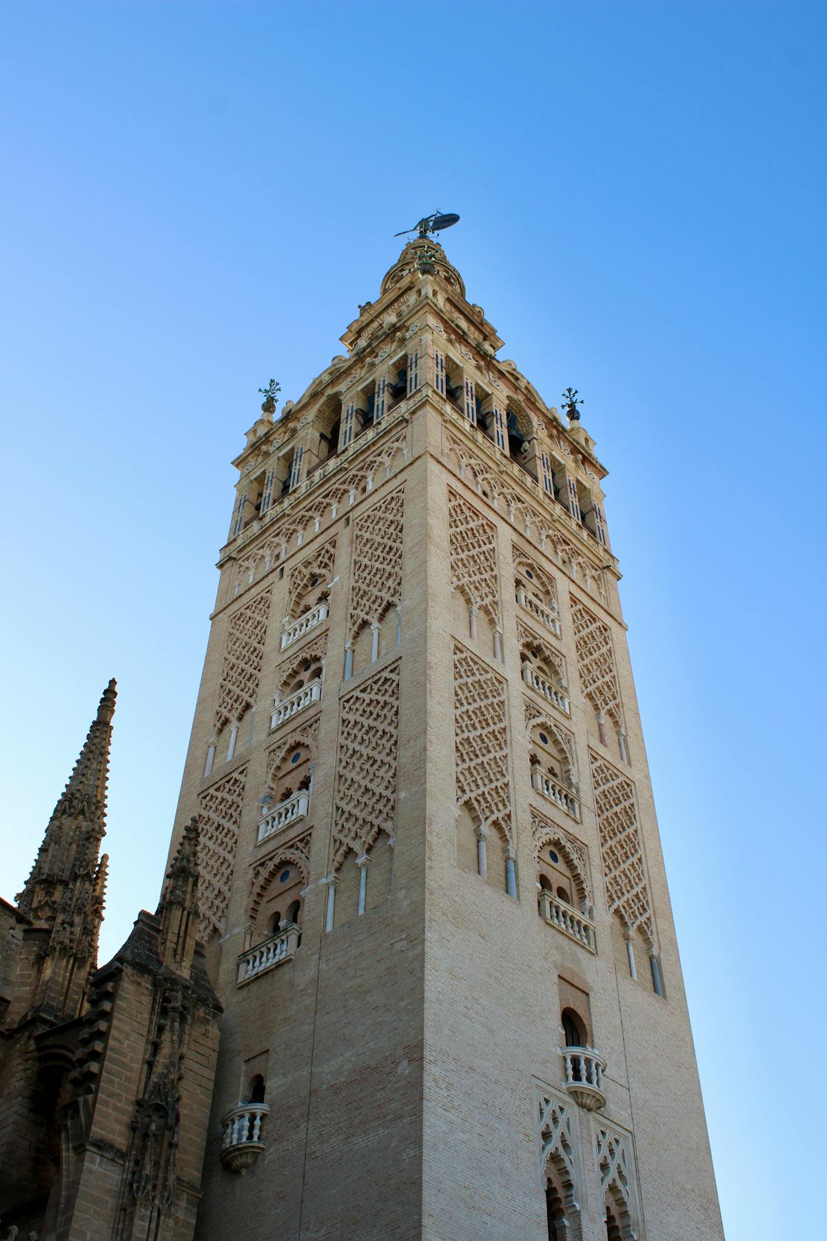 The ribbed Gothic ceiling vaults of Seville Cathedral viewed from below