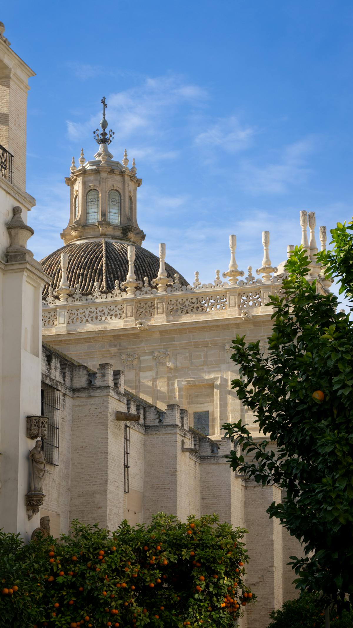 Seville Cathedral dome framed by orange trees in foreground under blue sky