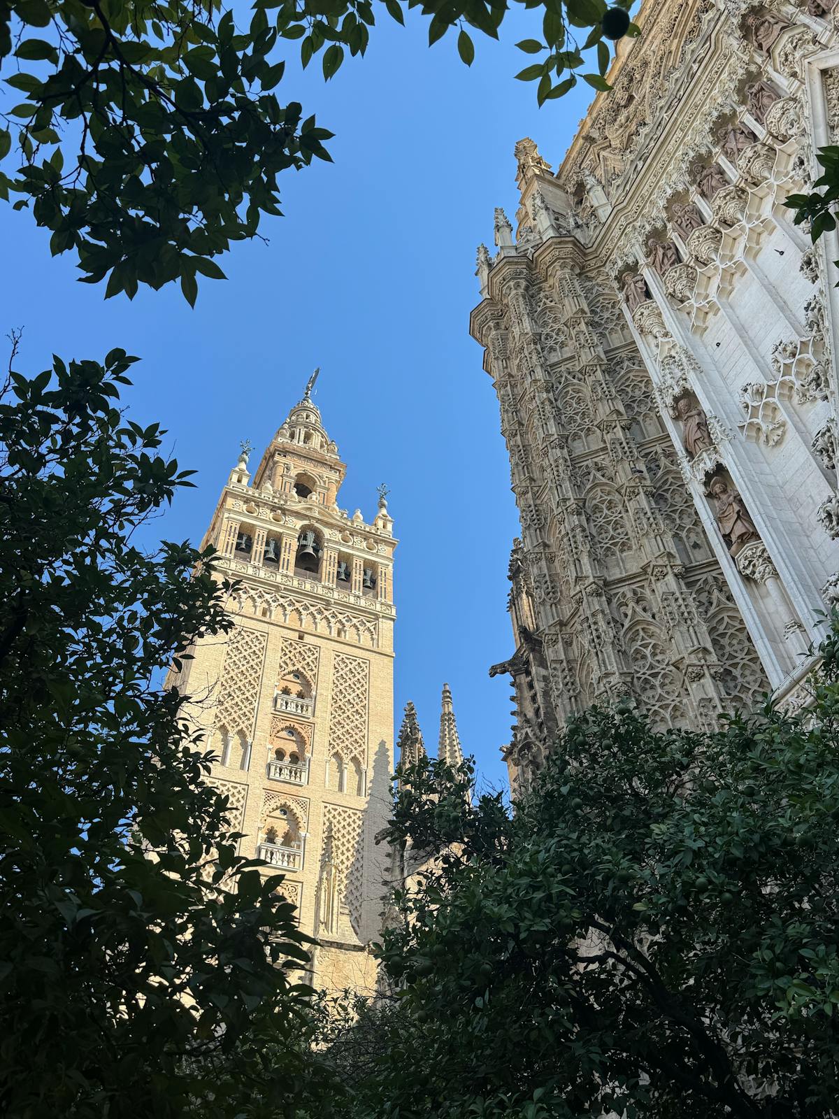 The soaring interior of Seville Cathedral showing Gothic vaults and stained glass windows