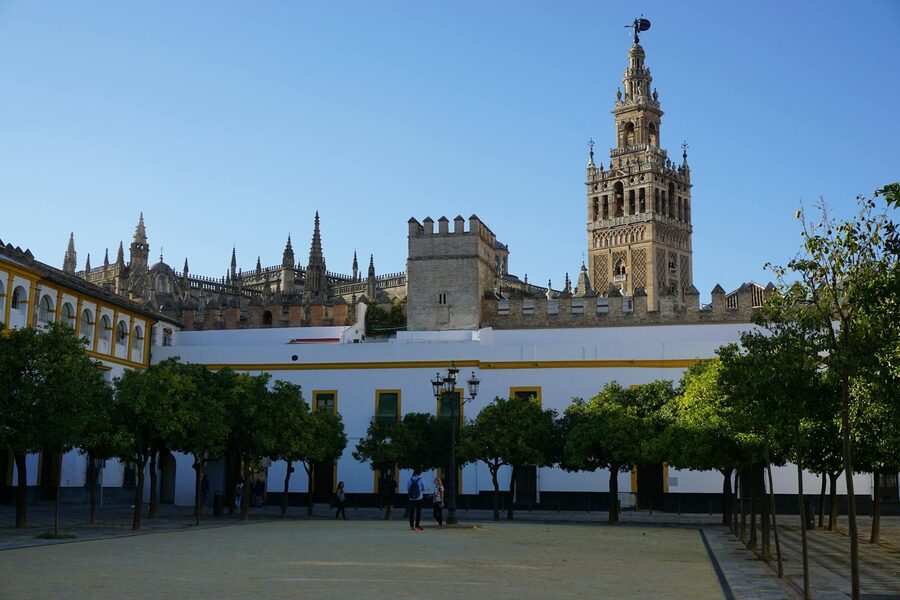 The Giralda Tower and Seville Cathedral seen through trees