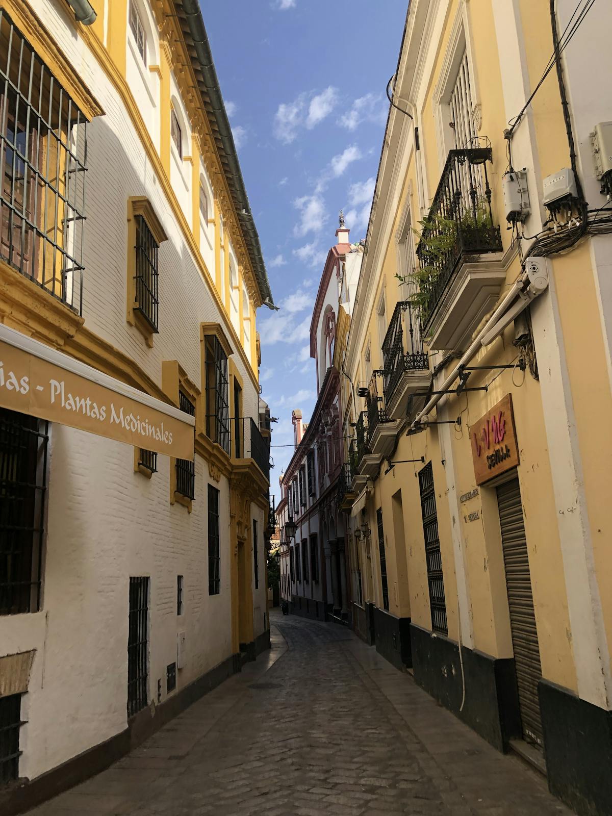 Charming narrow street in Seville with traditional architecture on a sunny day