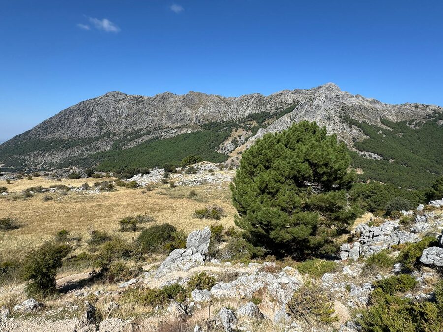 Sierra de Grazalema mountain range landscape Andalusia