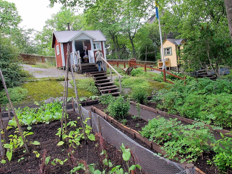 Skansen cottage with traditional grass turf roof Djurgården