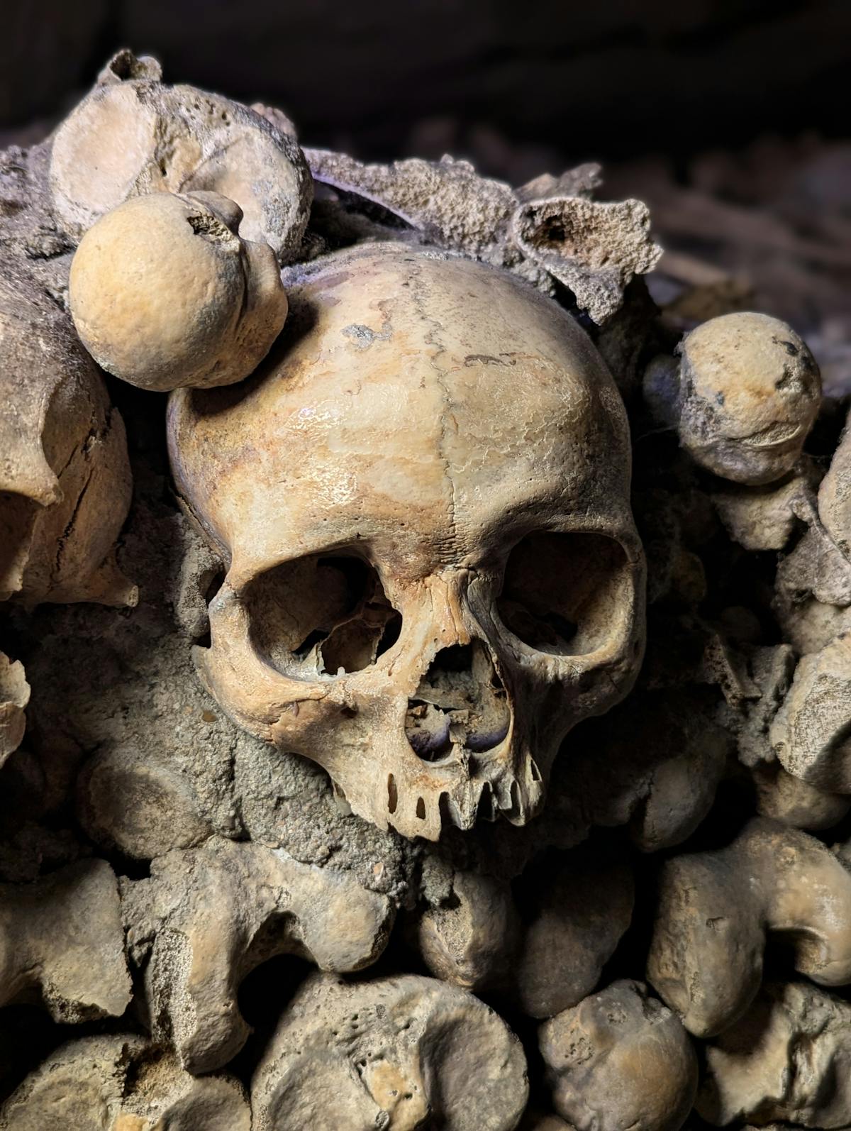 Close-up of skulls and bones stacked together in the Paris Catacombs