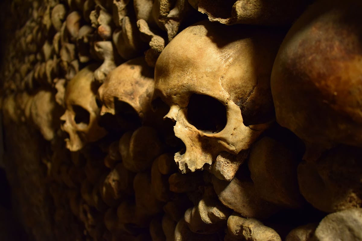 Close-up of human skulls arranged in careful patterns inside the Paris Catacombs