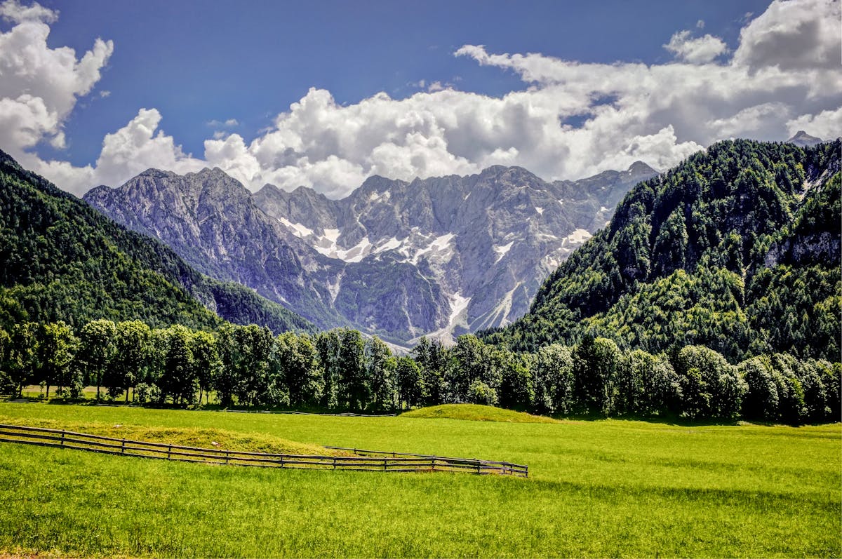 Lush green meadows with snow-capped Alpine peaks in Austria