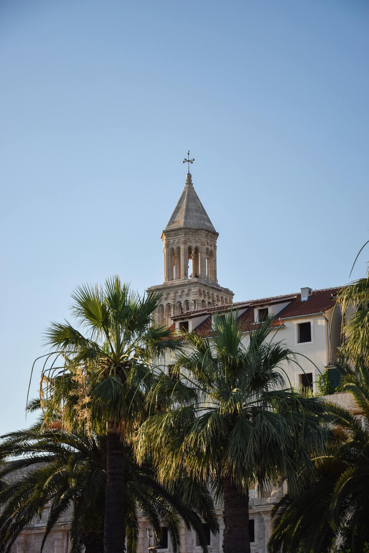Cathedral of Saint Domnius tower framed by palm trees in Split