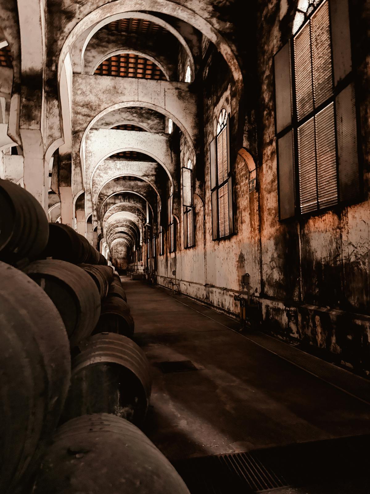 Moody interior of wine cellar with arched barrel-lined walls
