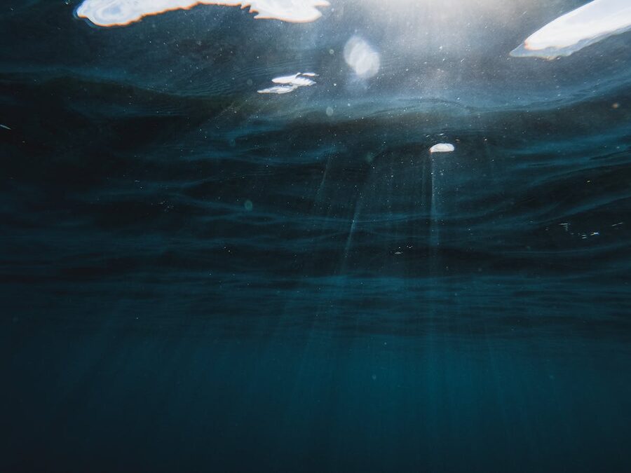 Underwater view of rocky seafloor with fish swimming in blue water