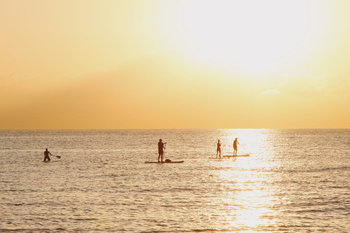 Silhouettes of paddleboarders during golden sunrise on calm waters