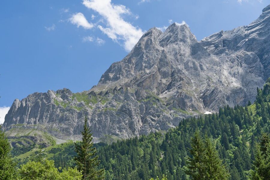 Swiss Alps with green forests in summer
