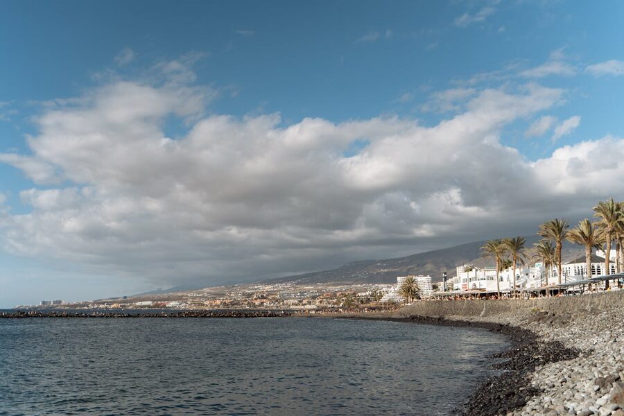 Panoramic view of rocky Tenerife coastline with palm trees and ocean