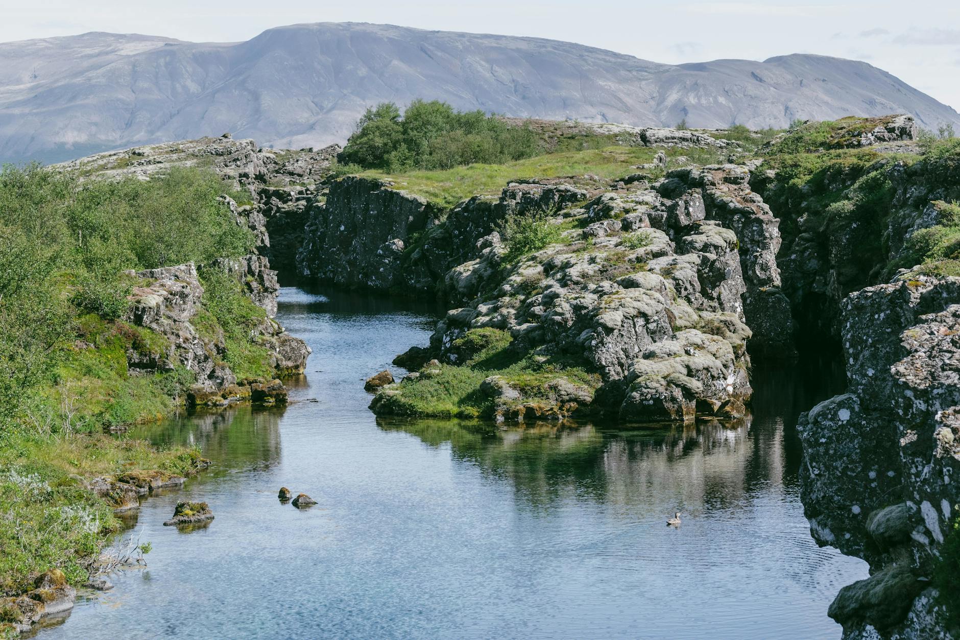 Scenic view of Thingvellir National Park cliffs and fissure canyon in Iceland